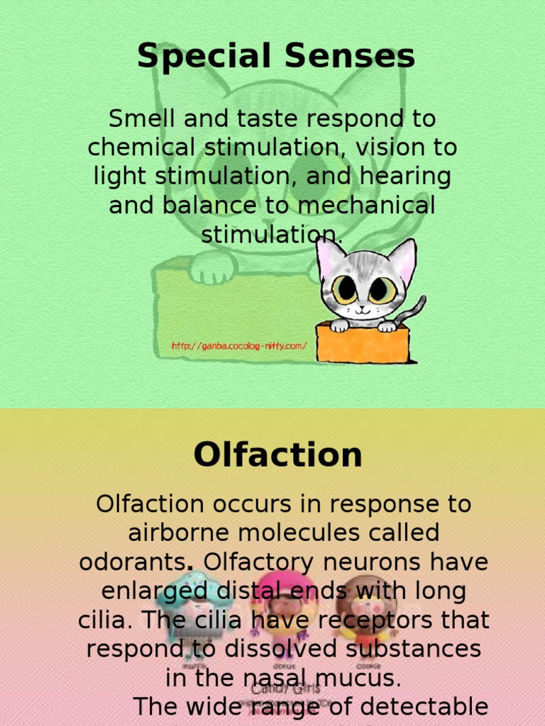 2nd grade homework packets pdf picture