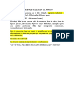 Lineamientos Realización Del Trabajo