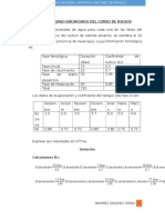 3° Trabajo Encargado Riegos