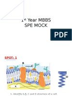 1st yr MBBS SPE.pptx