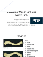 asistensi, appendicular skeletal.pdf