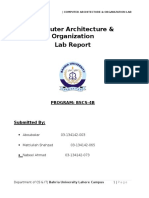 CAO Lab Report Summary