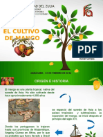 Cultivo de Mango - Generalidades