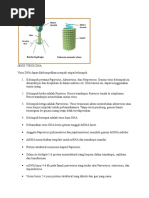 Download Jenis Virus Dna by Witona Widya N SN313790693 doc pdf