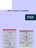 Clase Biol Mol 13-05-10