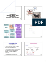 Presentación APO 2 Inflamación PFA Endocitosis 2015 Con Voz MR