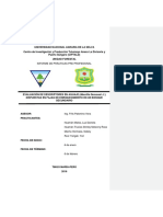 Aguaje en Fajas Mauritia Flexuosa L.F.