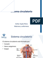 6 PA Circulatorio.pdf