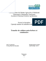 Proiect La Procese de Transfer de Caldura