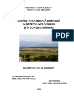Rezumatul Tezei (Nicolae Plesia) PDF