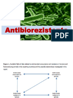 4 Ro Antibiorezistenta PDF