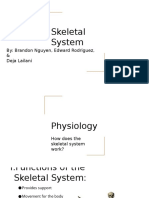 Skeletal System