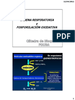 Cadena Respiratoria y Fosforilación Oxidativa