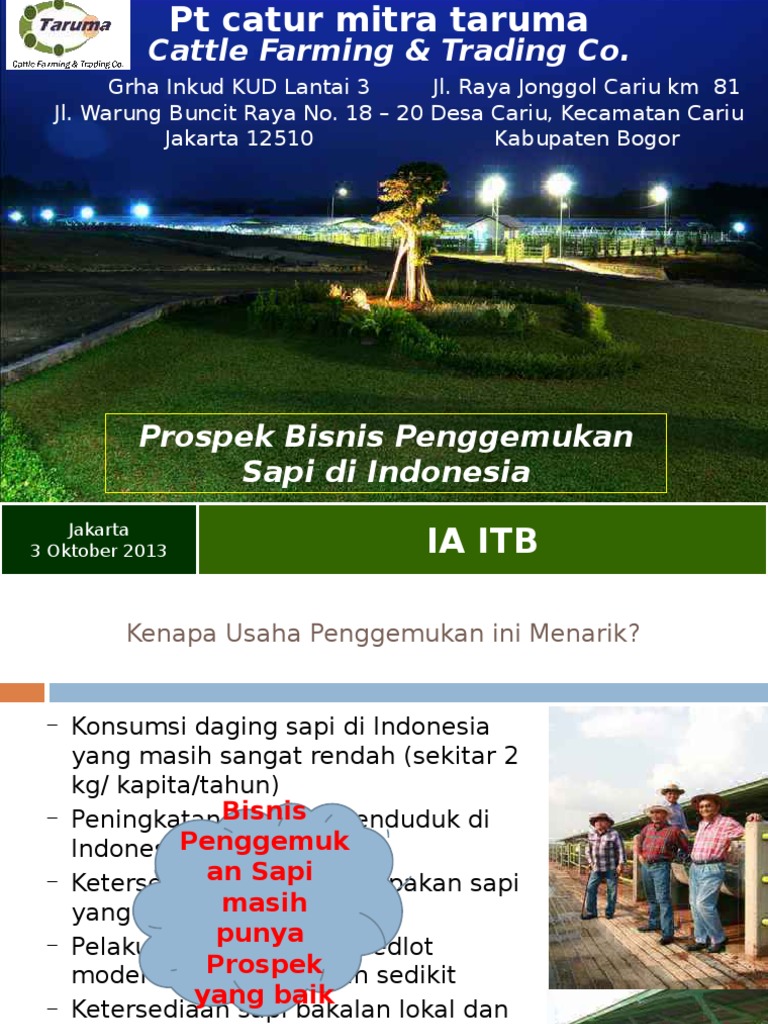 Bisnis Plan Peternakan Sapi