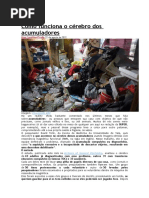 Como Funciona o Cérebro Dos Acumuladores