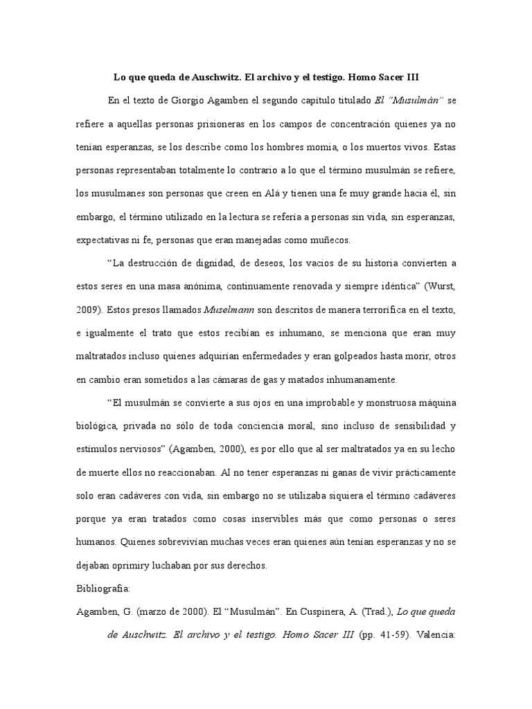 Lo Que Queda De Auschwitz El Archivo Y El Testigo Homo Sacer III PDF