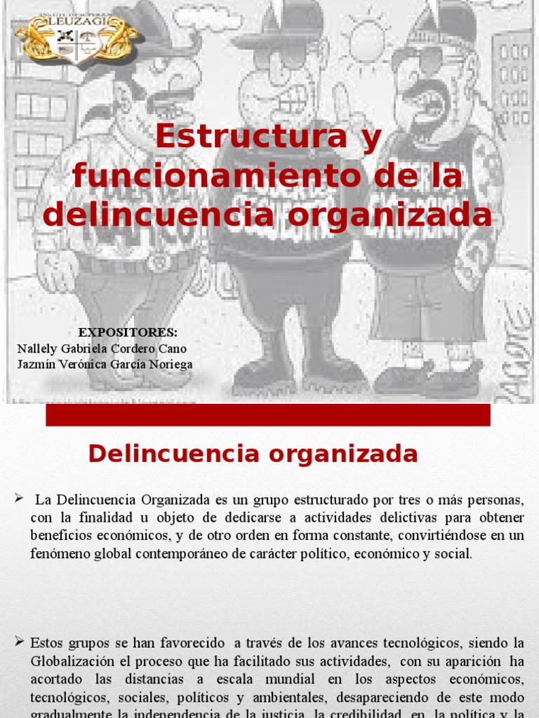 Estructura y Funcionamiento de la Delincuencia Organizada | PDF ...