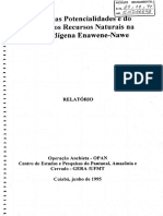 Estudo Das Potencialidades Enawene
