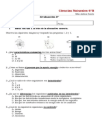 Ciencias naturales: Evaluación sobre fotosíntesis y nutrición