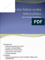 Etiologi Dan Faktor Resiko Hidrosefalus