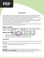 Download proyecto by Diana Romo SN31387099 doc pdf