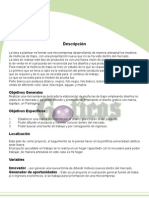 Download proyecto by Diana Romo SN31387099 doc pdf