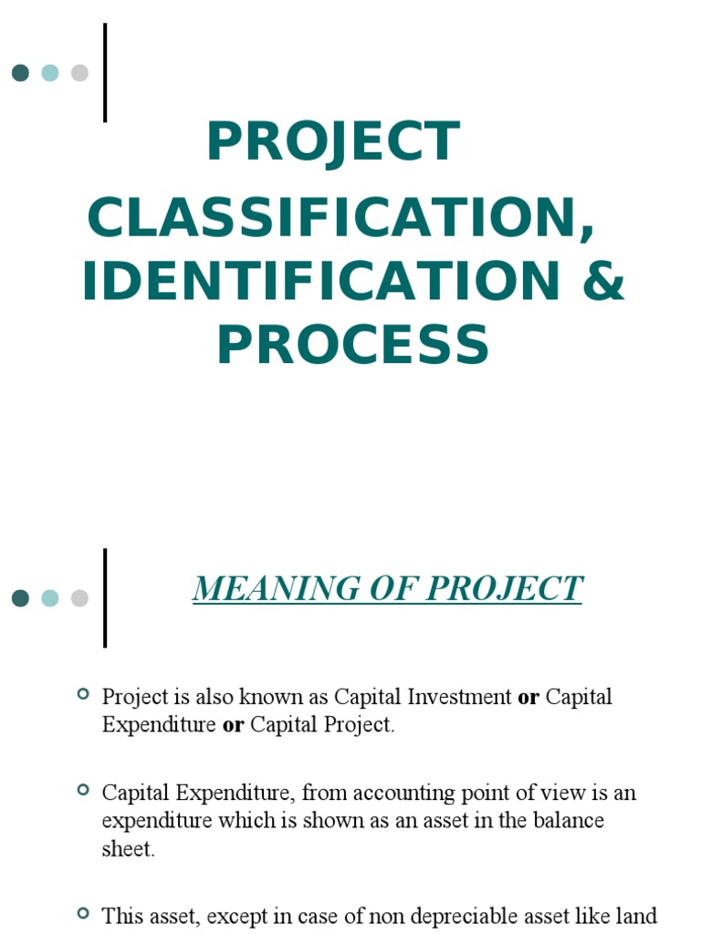 Project Identification | PDF | Capital (Economics) | Investing