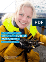 Potential for European Lobster Mariculture