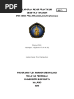 Download Laporan Besar Genetika by Ivan Fardhianzsyah SN313882323 doc pdf