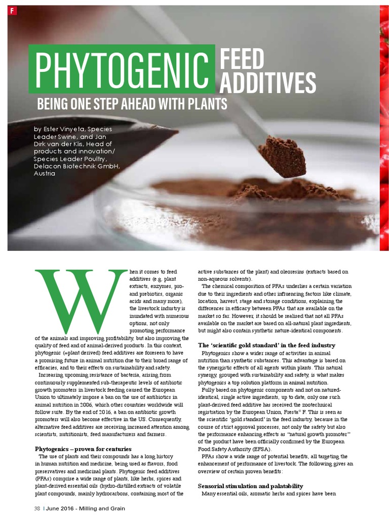Phytogenic Feed Additives PDF Animal Feed Livestock