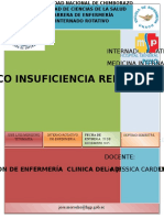 Insuficiencia Renal 