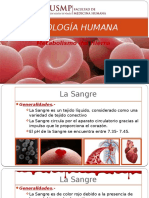 Fisiología Humana - Metabolismo Del Hierro - 2016