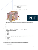 Soal Biologi Kelas Xi Sma Persiapan Ujian Akhir Semester 2