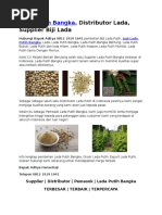 Download 081219191641 Lada Putih Bangka Distributor Lada Supplier Biji Lada by Lada Putih Bangka SN313908331 doc pdf