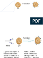 Antigen Anticorp