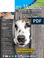 revista veterinaria