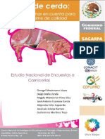 Carne de Cerdo PDF