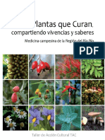 plantas-que-curan-140312200455-phpapp02.pdf