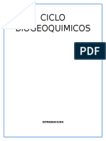 Ciclo Biogeoquimicos