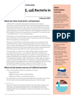 Groundwater Bacteria Guide