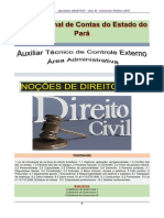 Nocoes de Direito Civil Exemplo