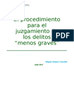 Delitos Menos Graves-Foro COPP1