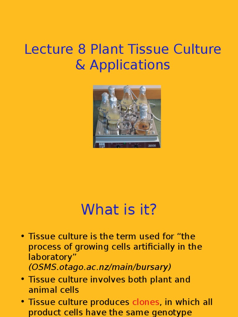 Plant Tissue Culture: Techniques & Uses | PDF | Cell Culture | Growth ...
