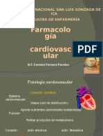 Cardiovascular Enfermeria