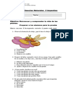 Guía de Ciencias Naturales 3