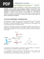 A Importância Das Oxidações No Organismo