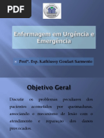 Aula 8- Queimados