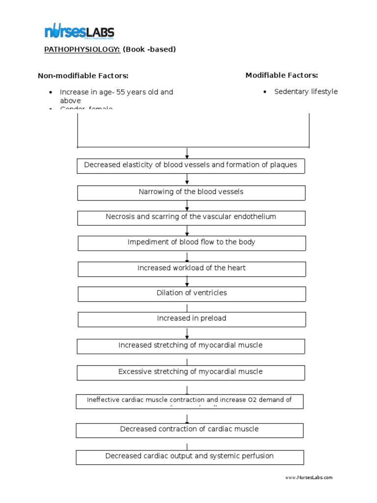 Congestive Heart Failure Pathophysiology Schematic Diagram | PDF