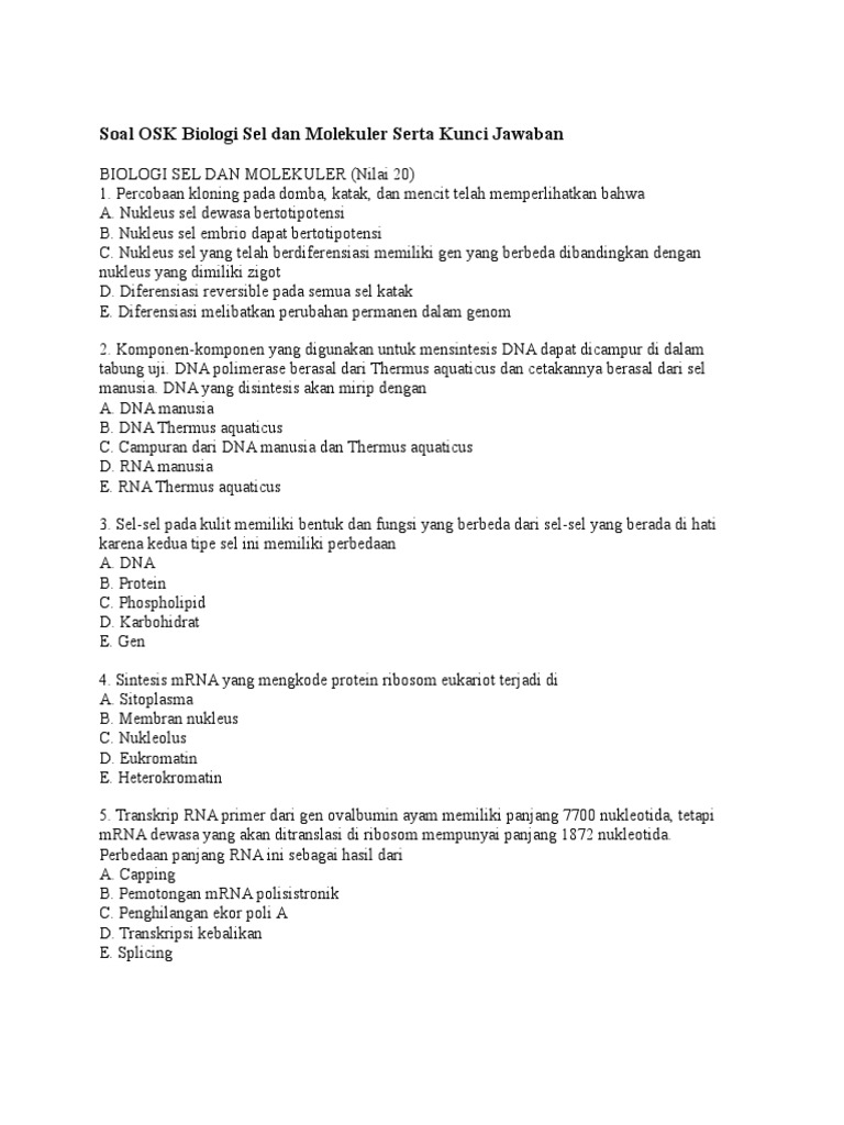 Soal pilihan ganda prepositional phrase kelas 12 picture