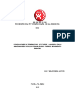 Condicciones de Trabajo Del Sector de La Madera en La Amazonia - Peru PDF